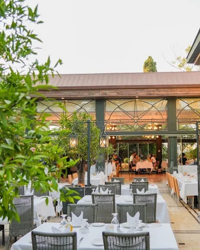 WhatsApp-Image-2025-10-07-at-3.46.01-PM